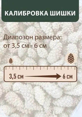 Мульча для сада из шишек целых 5 кг Мульча для сада из шишек целых 5 кг