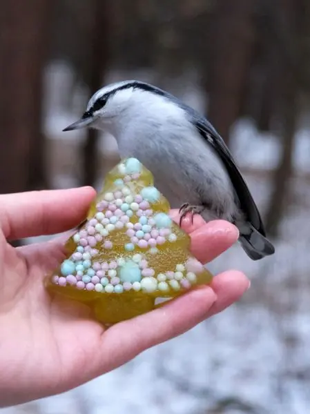 Мармелад сосновый ЁЛОЧКА, 90гр