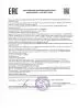 Цукаты из сосновых шишек 500 гр